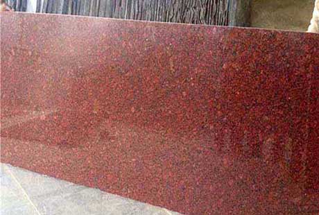 Giá đá đỏ Ấn Độ